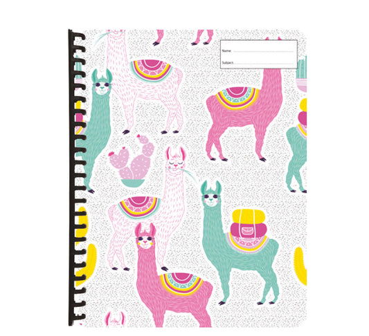 Display Folder - Drama Llama