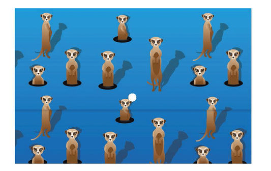 Document Wallet - Meerkats